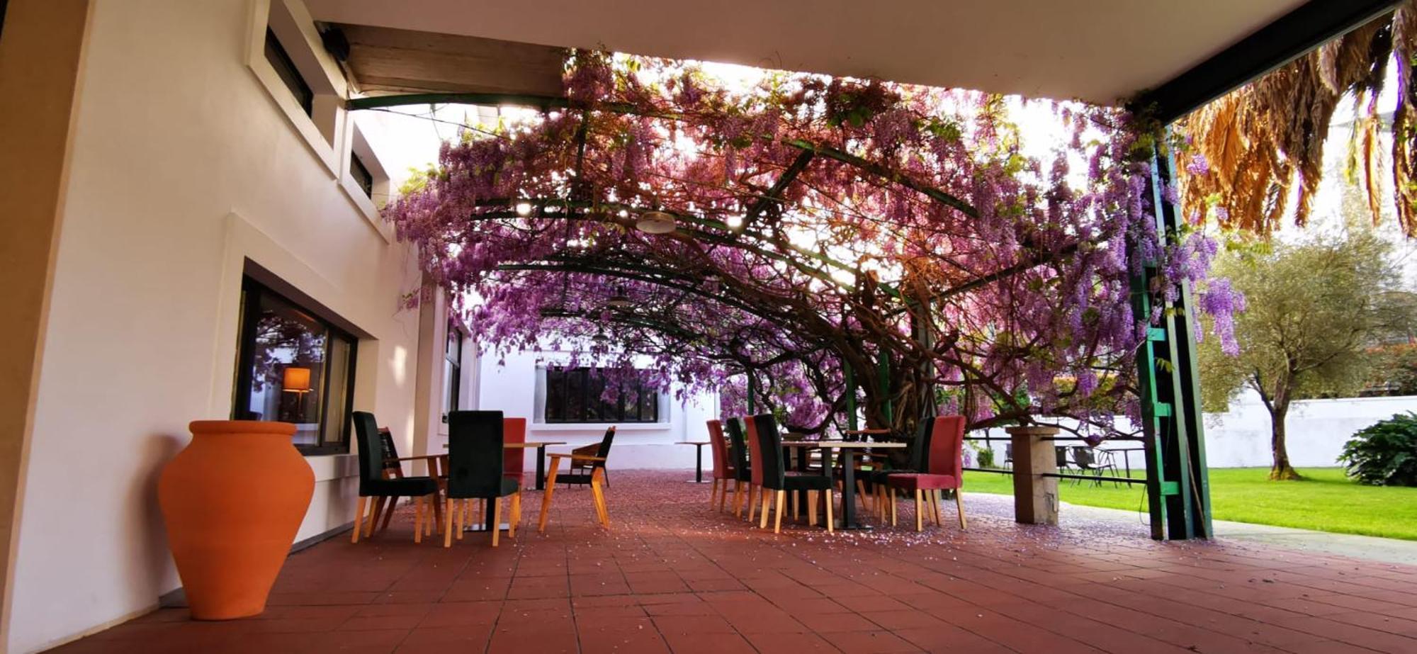 Vina Femita Hostel Villafranca Del Bierzo Εξωτερικό φωτογραφία